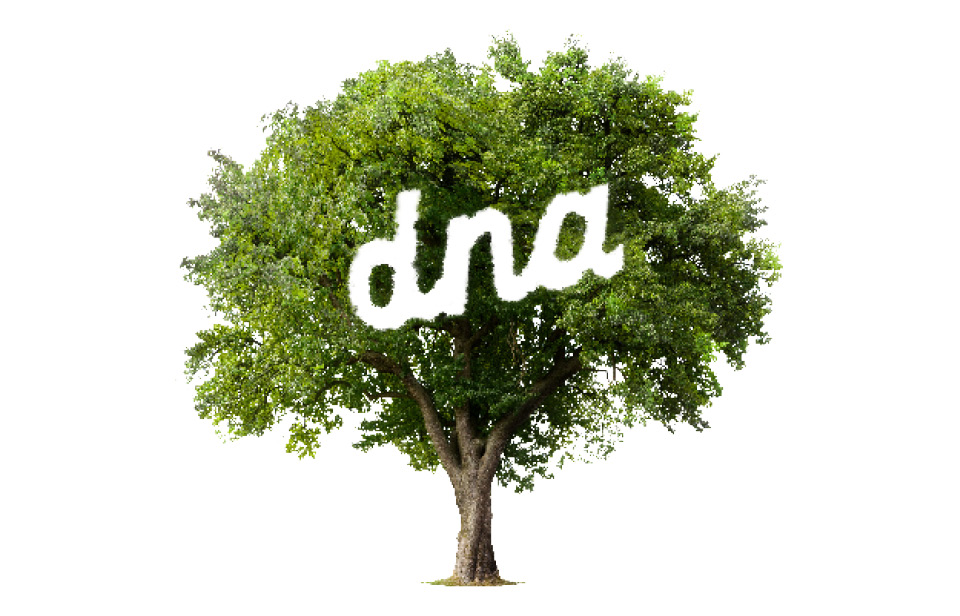 Image of a tree with DNA etched into the side of the tree